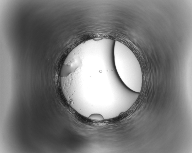 X0000096420523200801241006