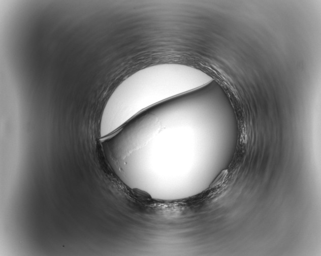 X0000096420524200801241006