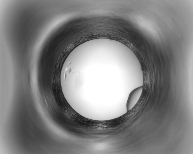 X0000096420526200801241006