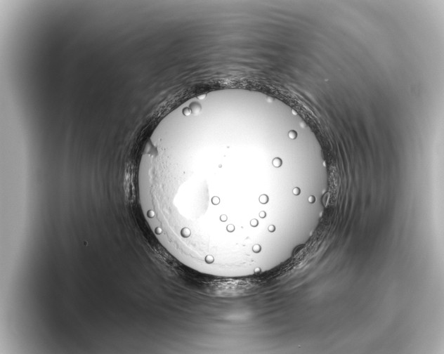 X0000096420527200801241006