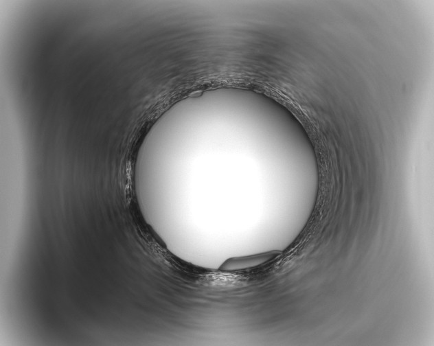 X0000096420528200801241006