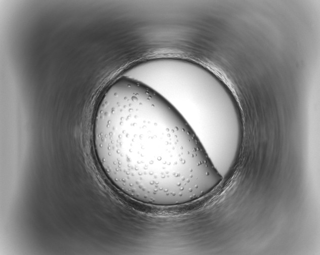 X0000096420529200801241005