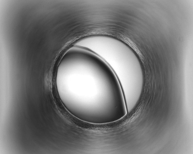 X0000096420530200801241005