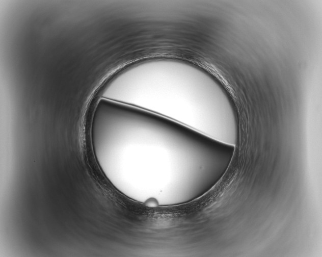 X0000096420531200801241005
