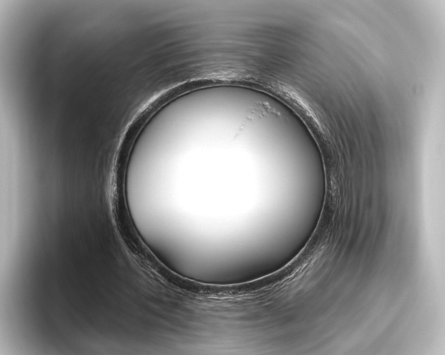 X0000096420532200801241005