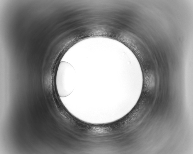 X0000096420534200801241005