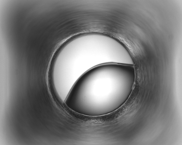 X0000096420536200801241005