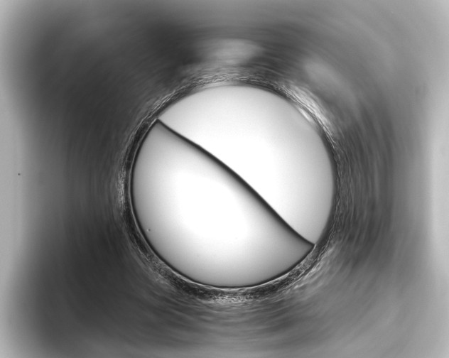 X0000096420537200801241005