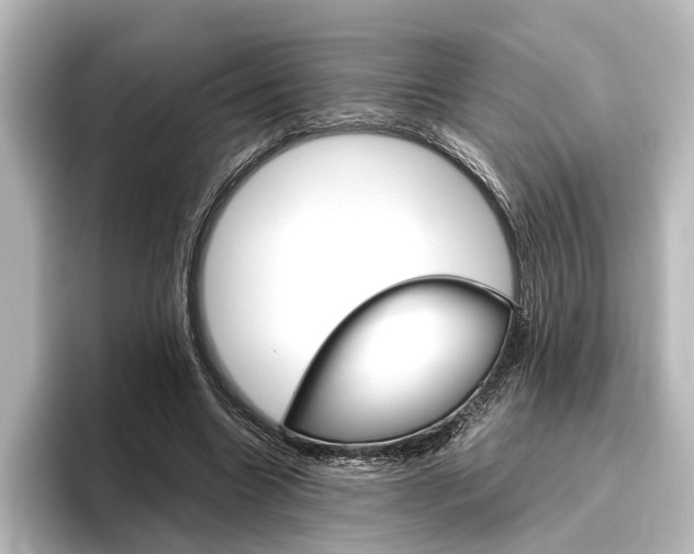 X0000096420538200801241005