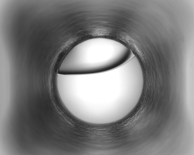 X0000096420539200801241005