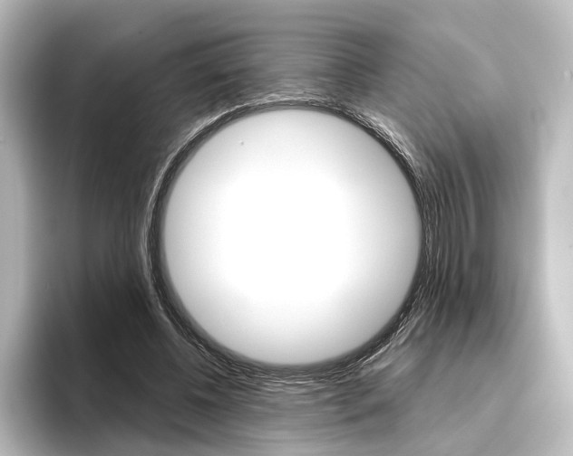 X0000096420540200801241005