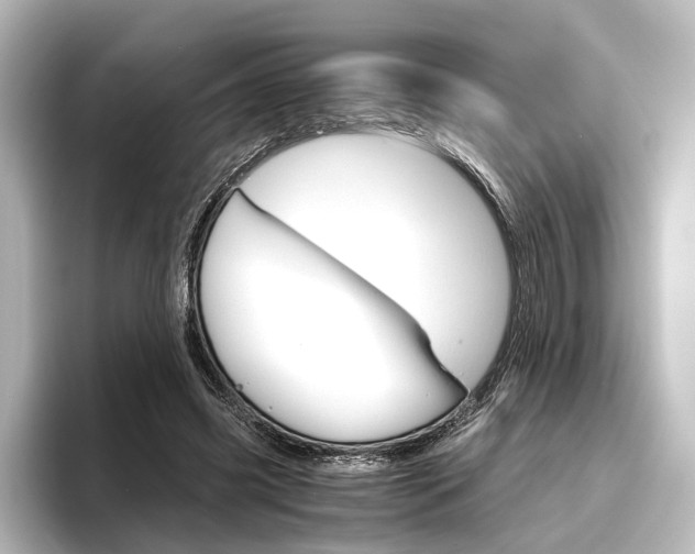 X0000096420541200801241005