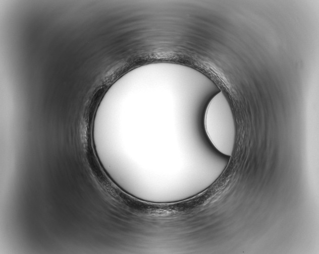 X0000096420542200801241005