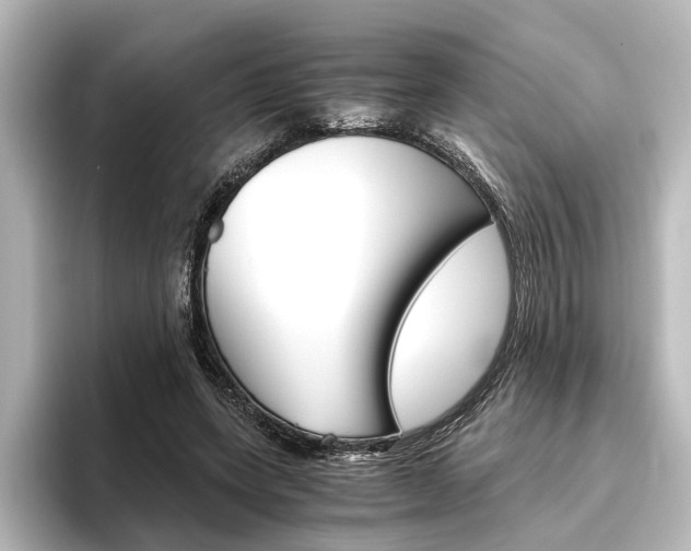 X0000096420543200801241005
