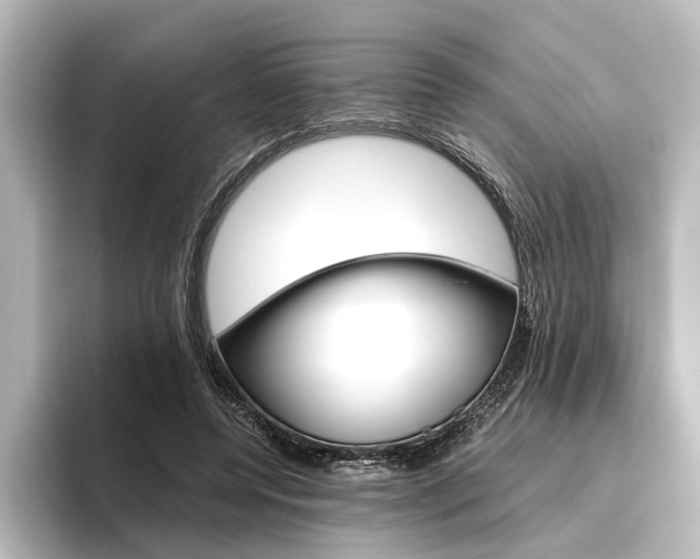 X0000096420544200801241005