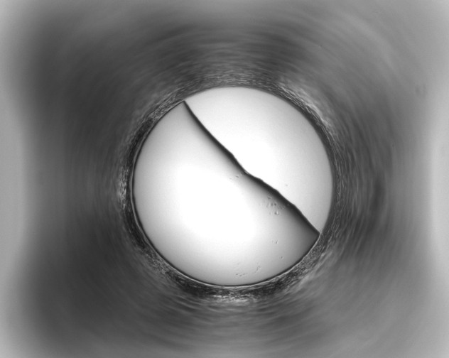 X0000096420545200801241005