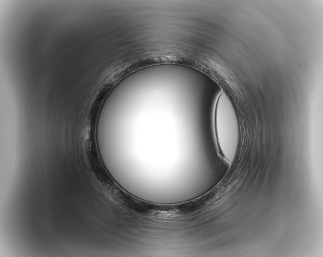 X0000096420548200801241005
