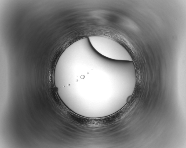 X0000096420549200801241005