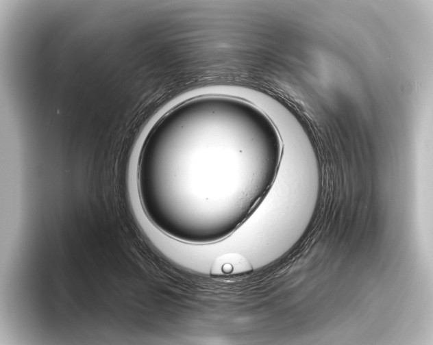 X0000096420550200801241005