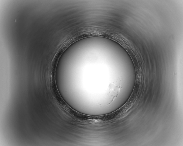 X0000096420552200801241005