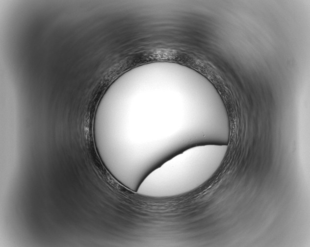 X0000096420553200801241005