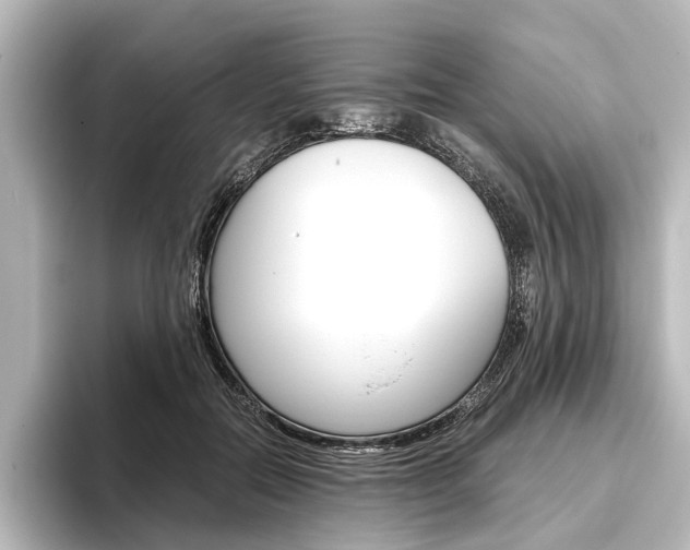 X0000096420554200801241005
