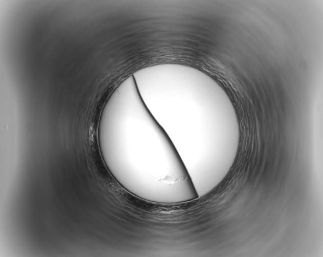 X0000096420555200801241005