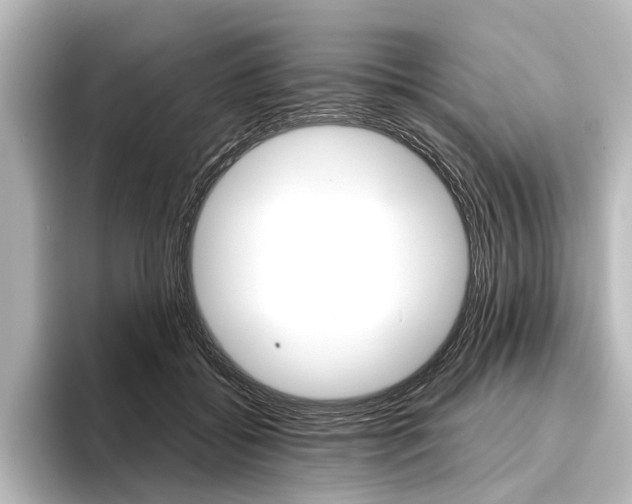 X0000096420556200801241005
