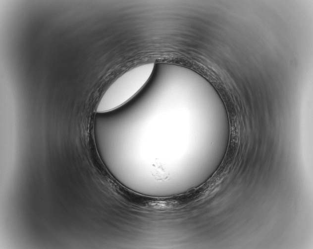 X0000096420558200801241006