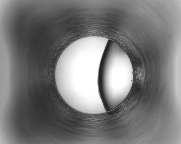 X0000096420559200801241006