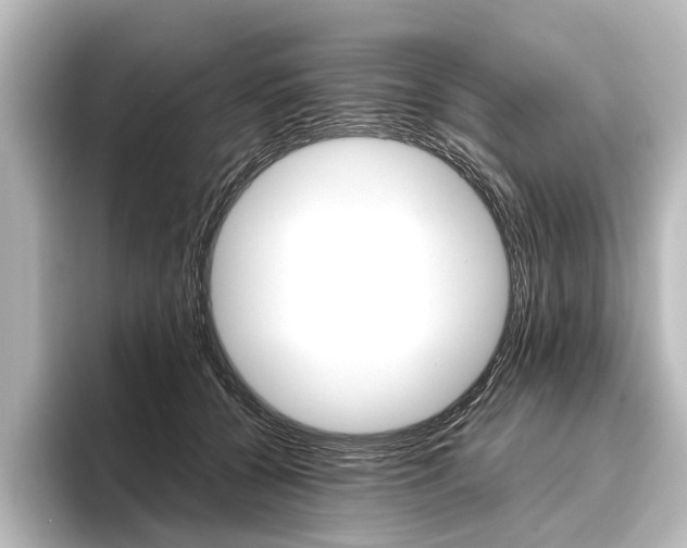 X0000096420560200801241006