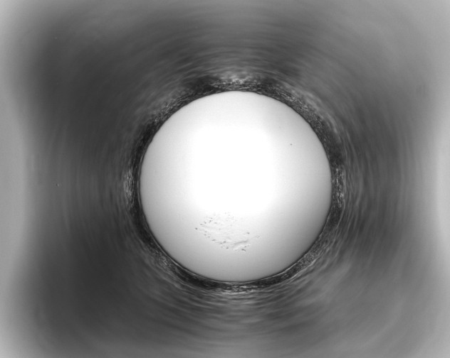 X0000096420563200801241006