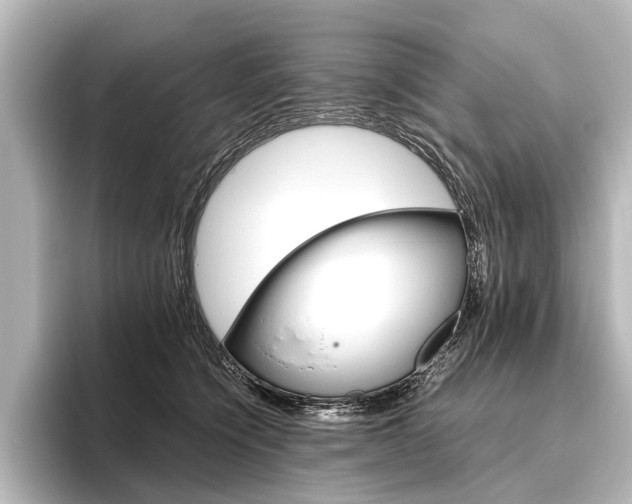 X0000096420564200801241006