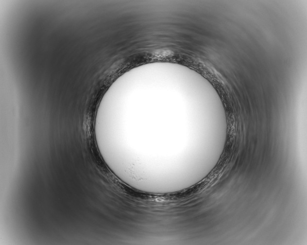 X0000096420565200801241006