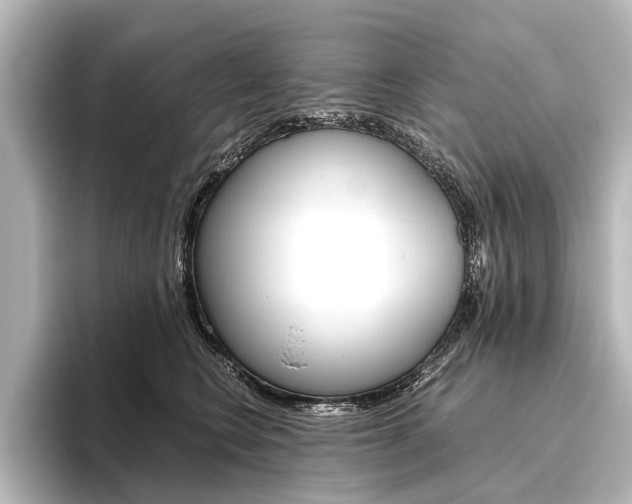 X0000096420566200801241006
