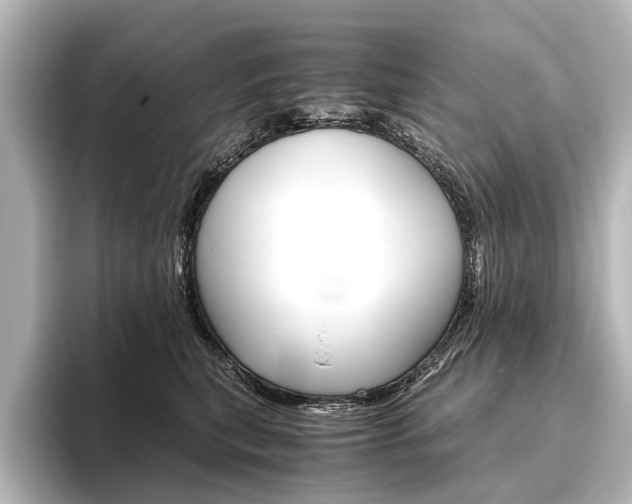 X0000096420567200801241006