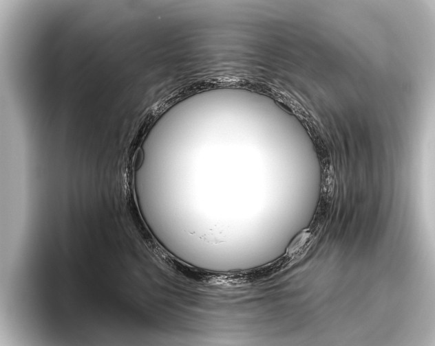 X0000096420568200801241006