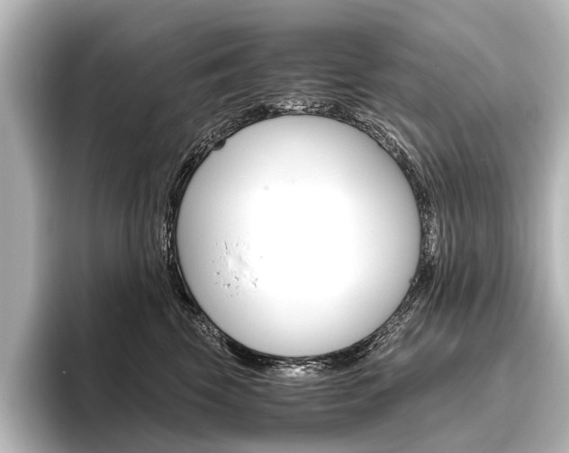 X0000096420569200801241006