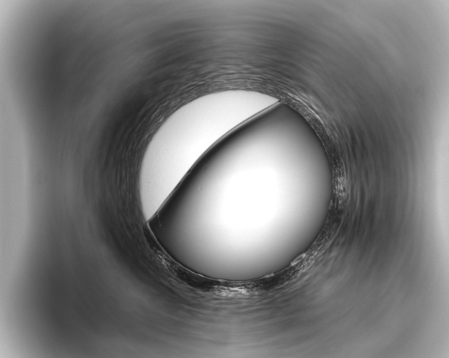 X0000096420572200801241006