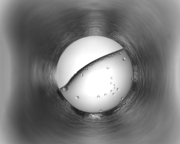 X0000096420573200801241006