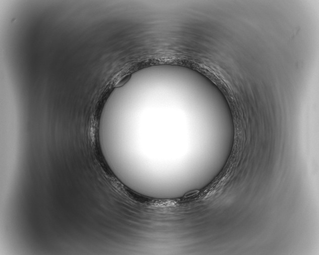 X0000096420576200801241006