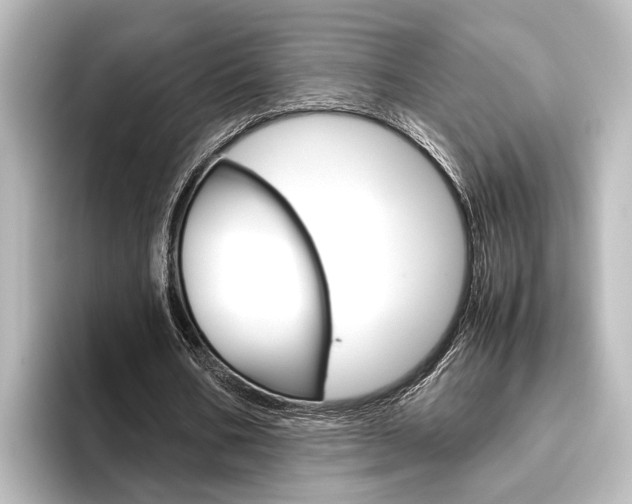 X0000096420578200801241005