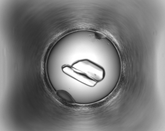 X0000096420581200801241005