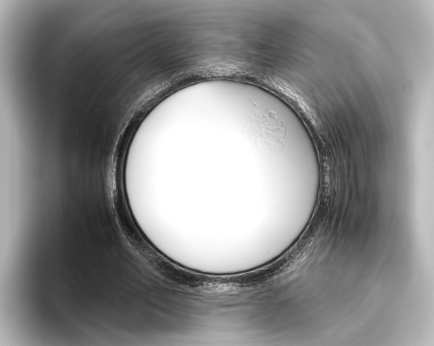 X0000096420582200801241005