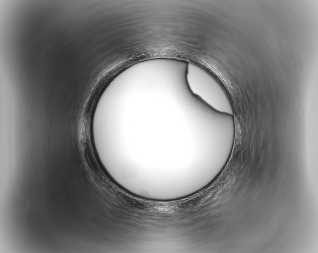 X0000096420583200801241005