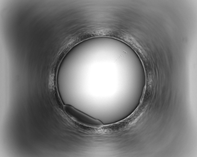 X0000096420585200801241005