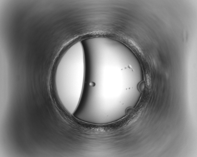 X0000096420588200801241005