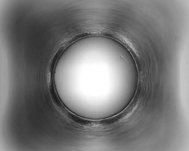 X0000096420589200801241005