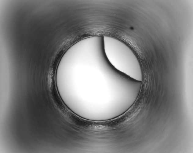 X0000096420590200801241005