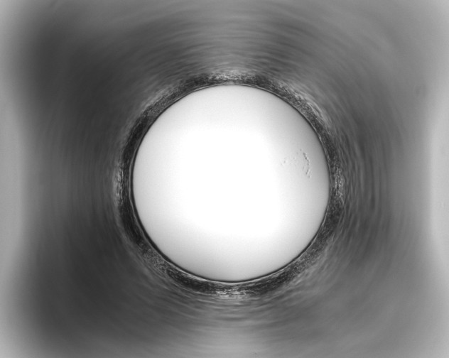X0000096420591200801241005